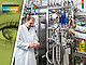 Alternative zu Erd- und Palmöl-Produkten: In der Bioreaktoranlage von Prof. Dr. Rudolf Hausmann produziert die Universität Hohenheim dank spezieller Bakterienstämme bereits Biotenside aus Materialien wie Holz. | Foto: Universität Hohenheim / Zentsch