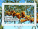 Bild: Johannes Kranich | stock.adobe