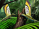 Rekonstruktion und Illustration von Mirasaura in seiner natürlichen Waldumgebung bei der Jagd auf Insekten. Copyright: Gabriel Ugueto