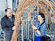Aus dem Riesengras Miscanthus entsteht in der Bioraffinerie Hydroxymethylfurfural. Bild: Uni Hohenheim | Max Kovalenko