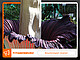 Bild: Universität Hohenheim / Corinna Schmid