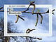 Bild: A. M. Steiner