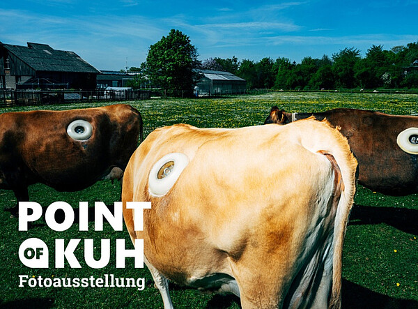 Dreifach ausgezeichnet