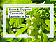 Bild: tmartinek – stock.adobe.com