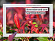 Bild: Anna – stock.adobe.com