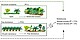 Increasee biodiversity without decreasing yields. If palm oil plantations are interspersed with tree islands, species conservation can be increased without economic losses Image Source: Zemp et al in nature