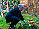 Bild: Uni Hohennheim | Lehner