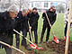 Jubiläums-Baum in Sichtweite des Gymnasium: Die Co-Jubilare legen im Schneetreiben mit Hand an. Bild: Uni Hohenheim | Sabine Pfeiffer.