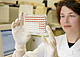 Studiengänge in Biologie in der Spitzengruppe | Bildquelle: Universität Hohenheim / Lichtenscheidt