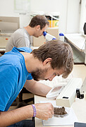 On campus UND digital: In Kleingruppen und vor allem beim forschenden Lernen soll es im kommenden Wintersemester an der Universität Hohenheim auch wieder Präsenzveranstaltungen geben – so wie bei dieser Auswertung eines Feldversuches zur Kleesaat im ökologischen Landbau. Je nach Einschränkungen durch die Infektionslage wird es jedoch auch möglich sein, das Semester vollständig und in hoher Qualität digital zu absolvieren. Foto: Universität Hohenheim/Untermann On campus UND digital: In Kleingruppen und vor allem beim forschenden Lernen soll es im kommenden Wintersemester an der Universität Hohenheim auch wieder Präsenzveranstaltungen geben – so wie bei dieser Auswertung eines Feldversuches zur Kleesaat im ökologischen Landbau. Je nach Einschränkungen durch die Infektionslage wird es jedoch auch möglich sein, das Semester vollständig und in hoher Qualität digital zu absolvieren. Foto: Universität Hohenheim/Untermann