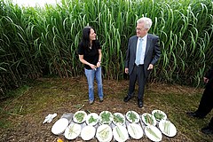 Führung auf den Forschungsäckern. Bild: Universität Hohenheim|Oskar Eyb