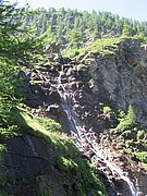 Pflanzen direkt am Rand des Wasserfalls