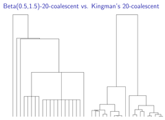 Multiple-Merger-Coalescent-Modell und Kingman-n-Coalescent-Modell im Vergleich. | Grafik: Fabian Freund