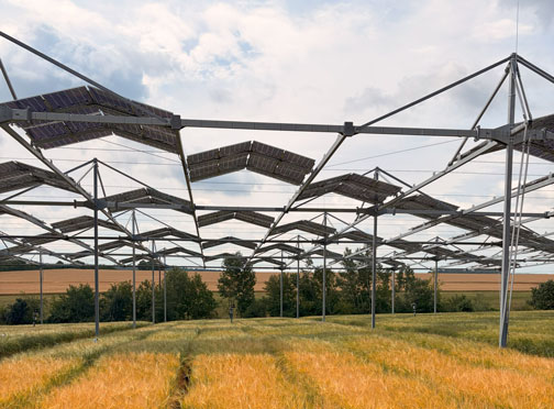 Agri-PV & Agroforst